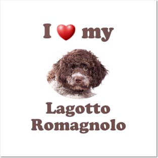 I Love My Lagotto Romagnolo Posters and Art